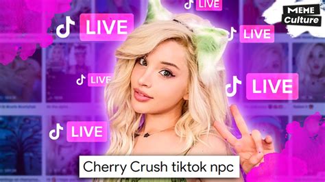 cherrycrush npc